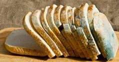 چگونه از کپک زدن مواد غذایی جلوگیری کنیم؟