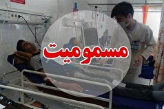 مسمومیت ۱۳ کارگر فصلی در دهگلان بر اثر استنشاق گاز مونوکسیدکربن