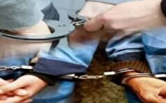 دستگیری و بازداشت موقت قاچاقچیان حرفه‌ای قطع درختان هیرکانی