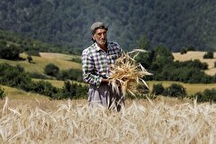 بیش از ۴۷۰ هزار بهره‌بردار بخش کشاورزی در فارس فعال هستند/ ضرورت بازآرایی ساختار نظام صنفی