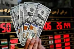 به کالا‌های وارداتی چقدر ارز تعلق گرفت؟