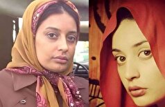 لباس مجلسی و کلاسیک ناهید محمودی با رنگ کله غازی