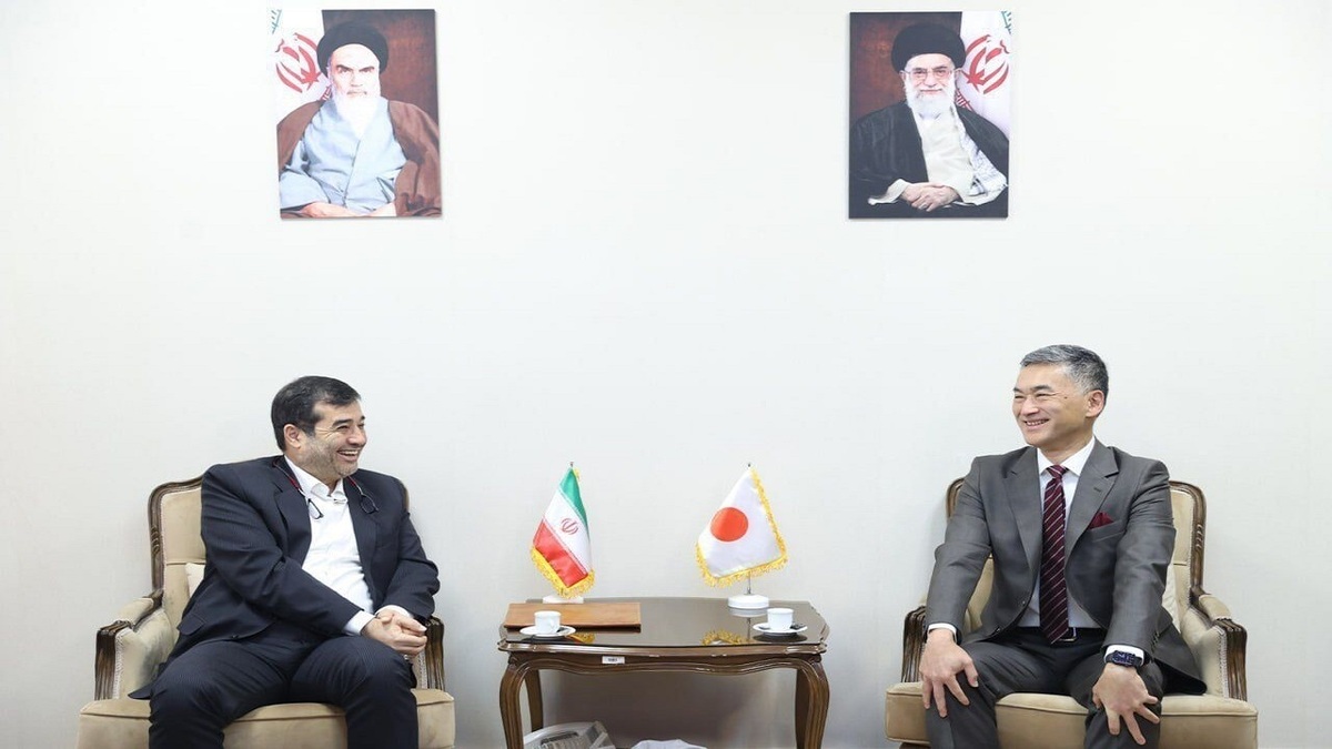 دنیامالی: آماده تدوین و امضای تفاهم‌نامه همکاری با ژاپن هستیم