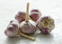 چرا باید مصرف سیر را افزایش دهیم؟