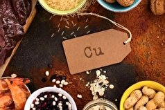 مس مورد نیاز بدن را چگونه از منابع طبیعی دریافت کنیم؟