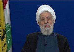 پیام شیخ نعیم قاسم برای رهبر انصارالله: خون پاک شهید الغماری به ثمر خواهد نشست