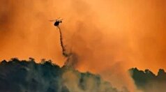جهشی در سطح دی اکسید کربن در جو زمین