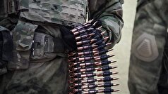 وزارت امور خارجه ترکیه از تمایل این کشور برای مشارکت در حل و فصل مناقشه اوکراین خبر داد.