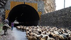 بسته بودن جاده چالوس