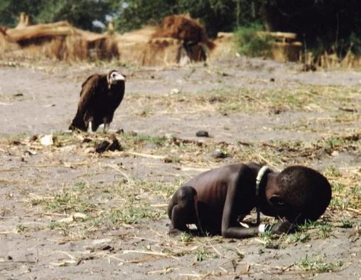 تصویر «کودک و لاشخور» که زندگی عکاس را به نابودی کشاند تصویر «کودک و لاشخور» که زندگی عکاس را به نابودی کشاند