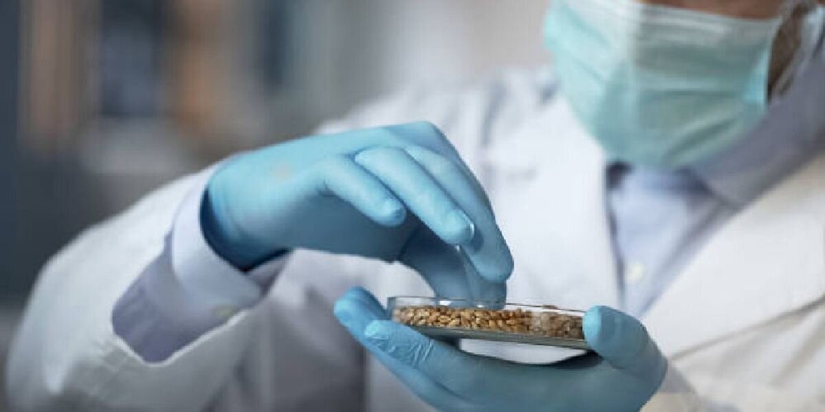 چگونه می‌شود سطح سرب را در بدن را سنجید؟