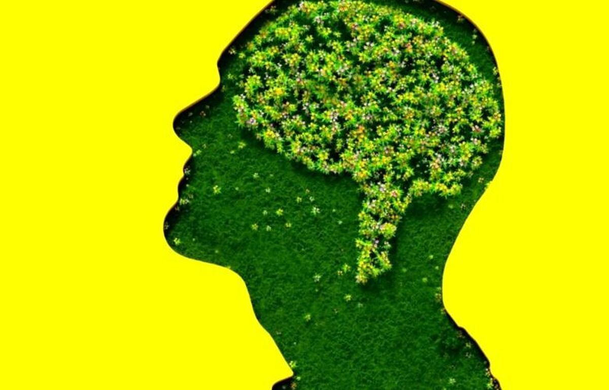 علت تفاوت مغز انسان با سایر گونه‌ها چیست؟