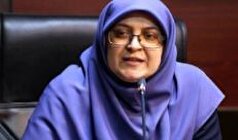 سخنگوی دولت: دولت به دنبال کنترل قیمت‌هاست