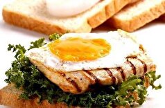 این ساندویچ مرغ و تخم مرغ مخصوص صبحانه کودکان است