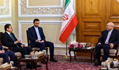 دیدار رئیس مجلس و مشاور امنیت ملی عراق