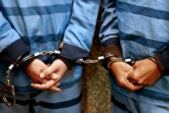 توضیحات رئیس پلیس بین‌الملل فراجا درباره دستگیری دو تبعه خارجی
