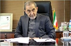 تشبیه جالب ولایتی در پی شباهت رفتاری دونالد ترامپ و هیتلر