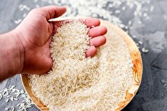 شناسایی ۴۰۰ تن برنج آلوده به سم!
