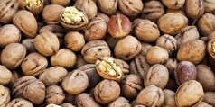 افراد مبتلا به کبد چرب میتوانند گردو بخورند؟