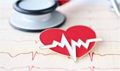 رژیم غذایی مناسب برای افراد دارای فشار خون بالا