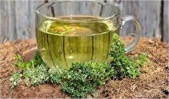 آیا سه شیره و عرق یونجه برای درمان کم خونی موثرند؟