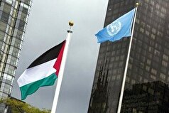 موج جدید بیداری جهانی برای به رسمیت شناخته شدن کشور فلسطین