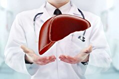 مقصر اصلی ابتلا به بیماری دیابت، کبد چرب و چاقی شناسایی شد!