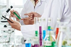 خبر خوش معاون پژوهشی وزارت علوم برای پژوهشگران پسادکتری