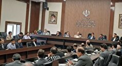 ۷۰ درصد ابریشم کشور در تربت‌حیدریه تولید می‌شود