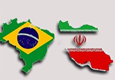 دیدار و گفتگوی حاجی‌بابایی با نائب‌رئیس مجلس سنای برزیل