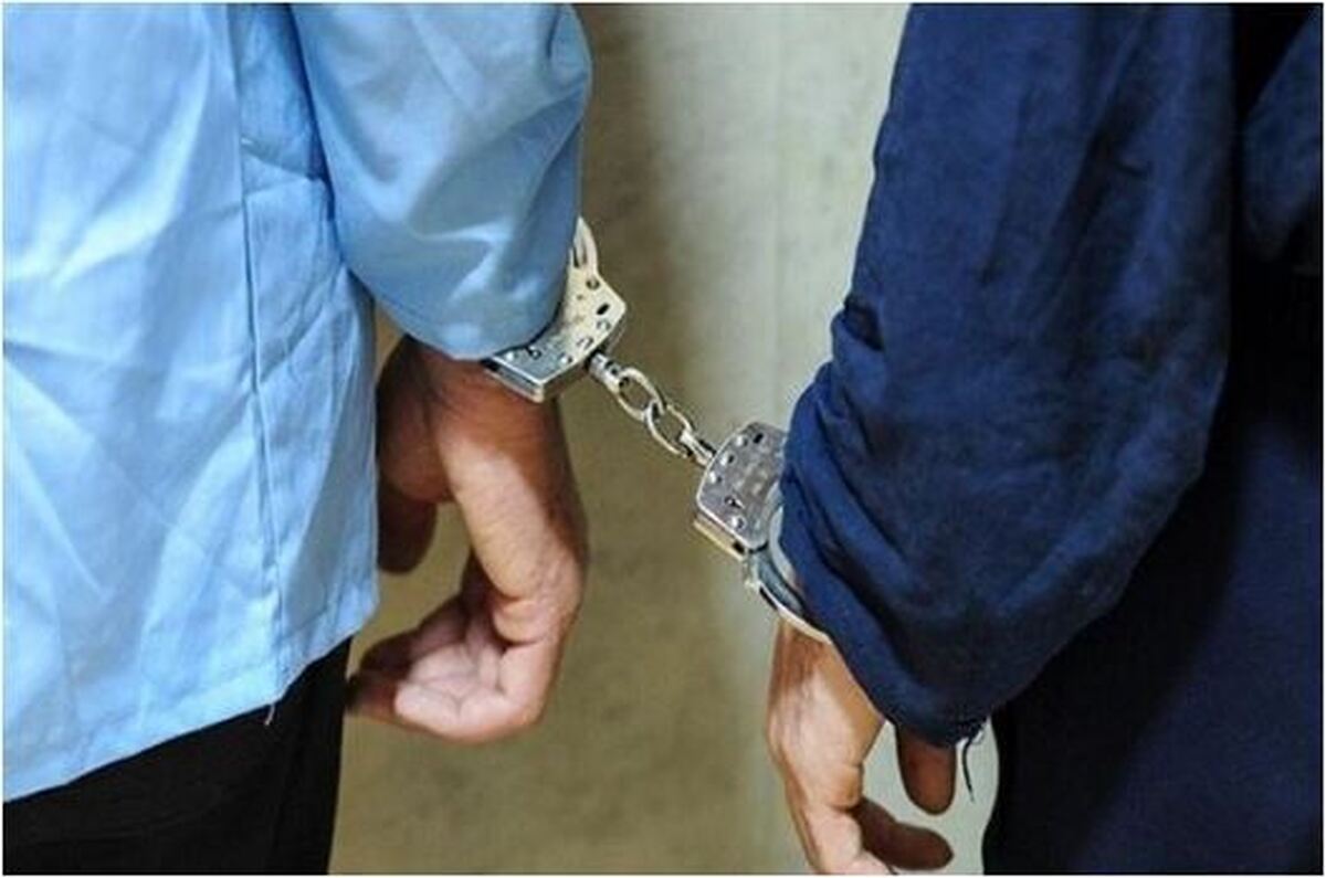 جزئیات بازداشت ۱۸ نفر از پارتی مختلط شبانه در این شهرستان