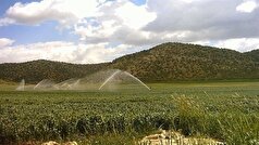 اجرای سامانه‌های نوین آبیاری در سطح ۳ میلیون و ۲۰۰ هزار هکتار اراضی