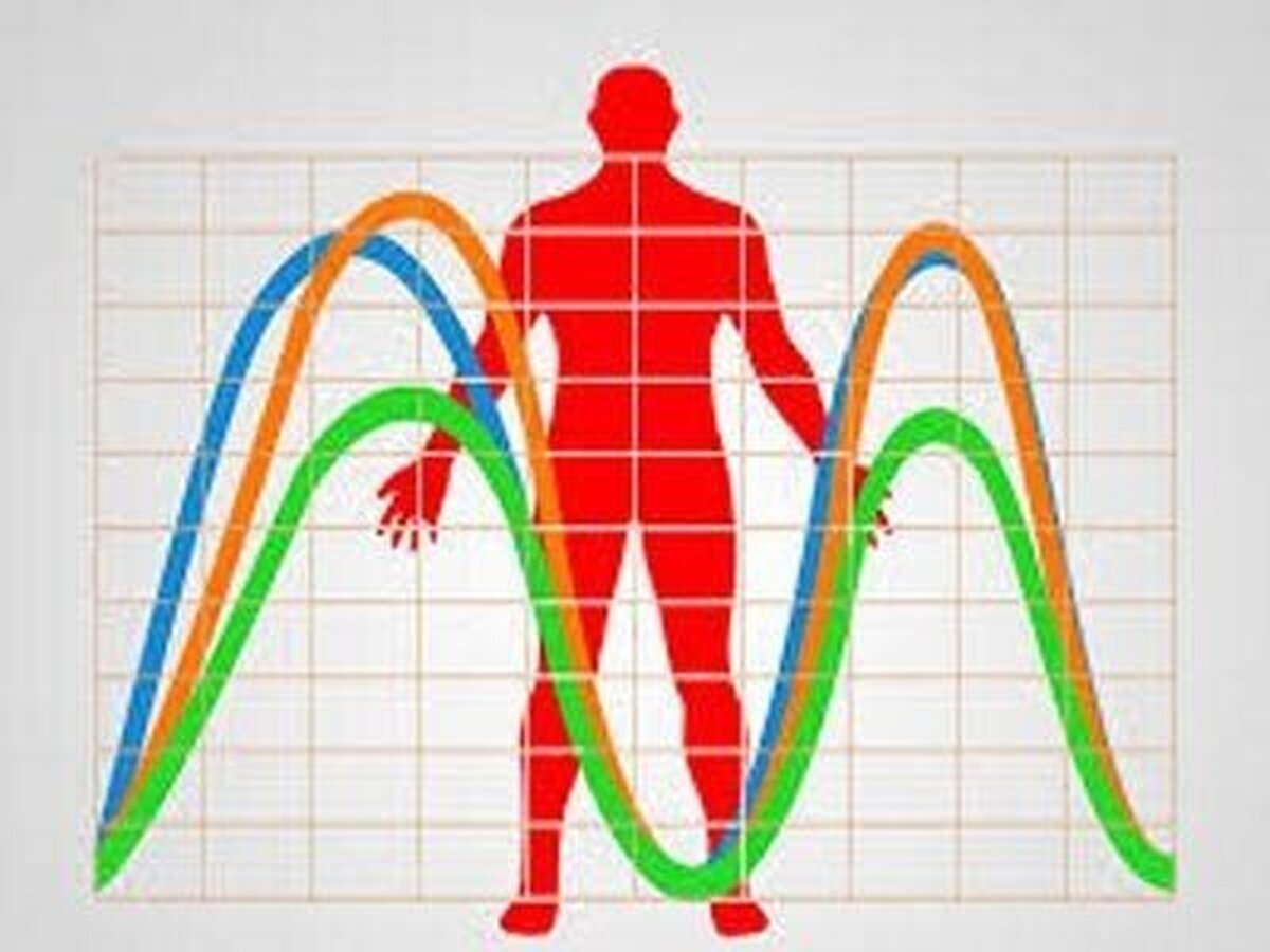بیوریتم چیست و چه تاثیری بر عملکرد روزانه ما دارد؟