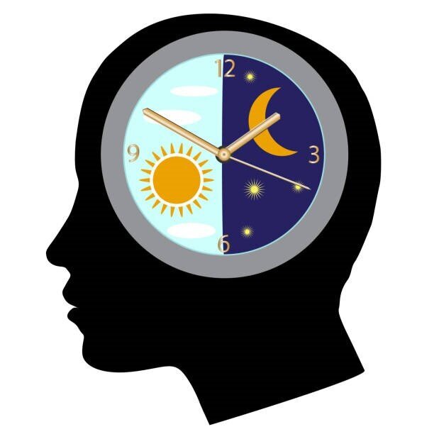 بیوریتم چیست و چه تاثیری بر عملکرد روزانه ما دارد؟