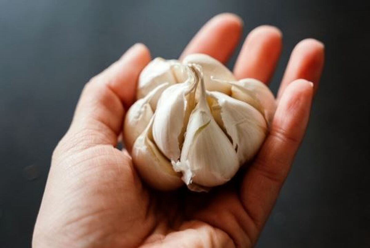 بهترین روش مصرف سیر برای اثر گذاری بیشتر