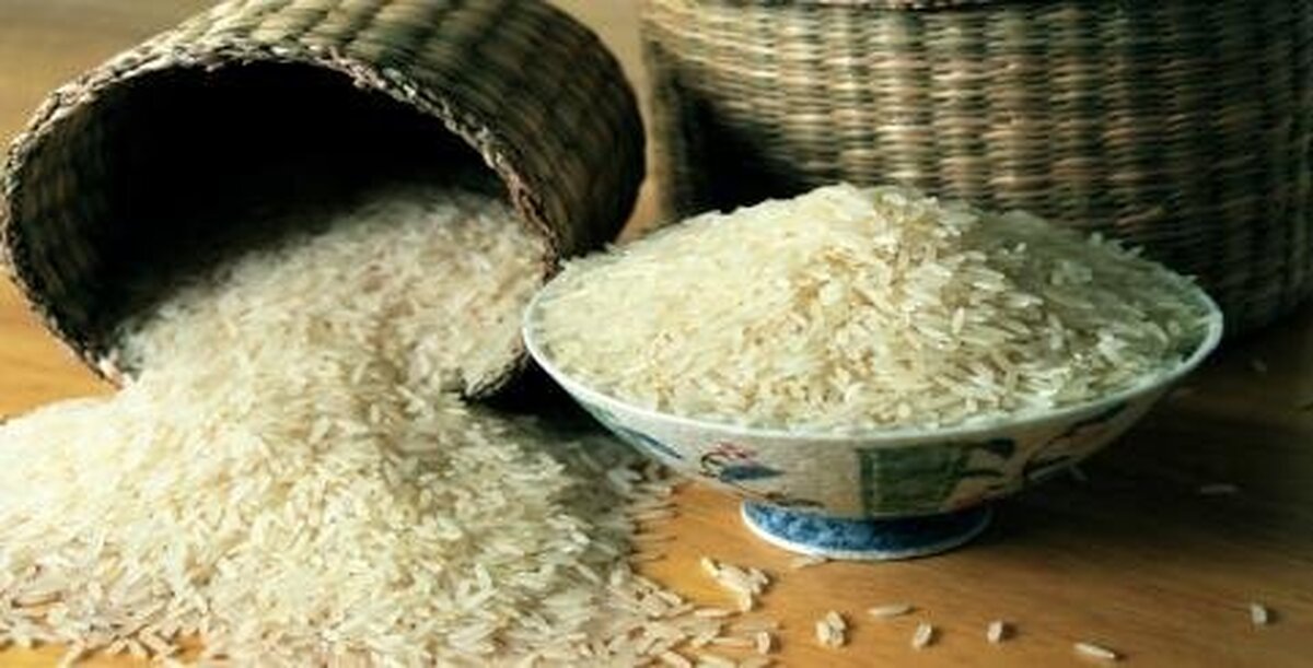 نیاز به واردت ۱.۵ میلیون تن برنج/ کمبود و کم آبی قیمت‌ها را افزایشی می‌کند