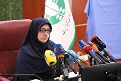 اقدامات عملی دولت چهاردهم در جهت کاهش آلودگی هوا در حال اجراست
