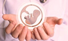 پیشتازی دانشگاه ابن‌سینا در زمینه هوش مصنوعی