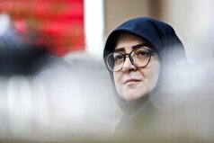 سخنگوی دولت: همچنان راه‌حل‌های دیپلماتیک را دنبال می‌کنیم/ تحت فشار‌های غیرقانونی قرار نمی‌گیریم