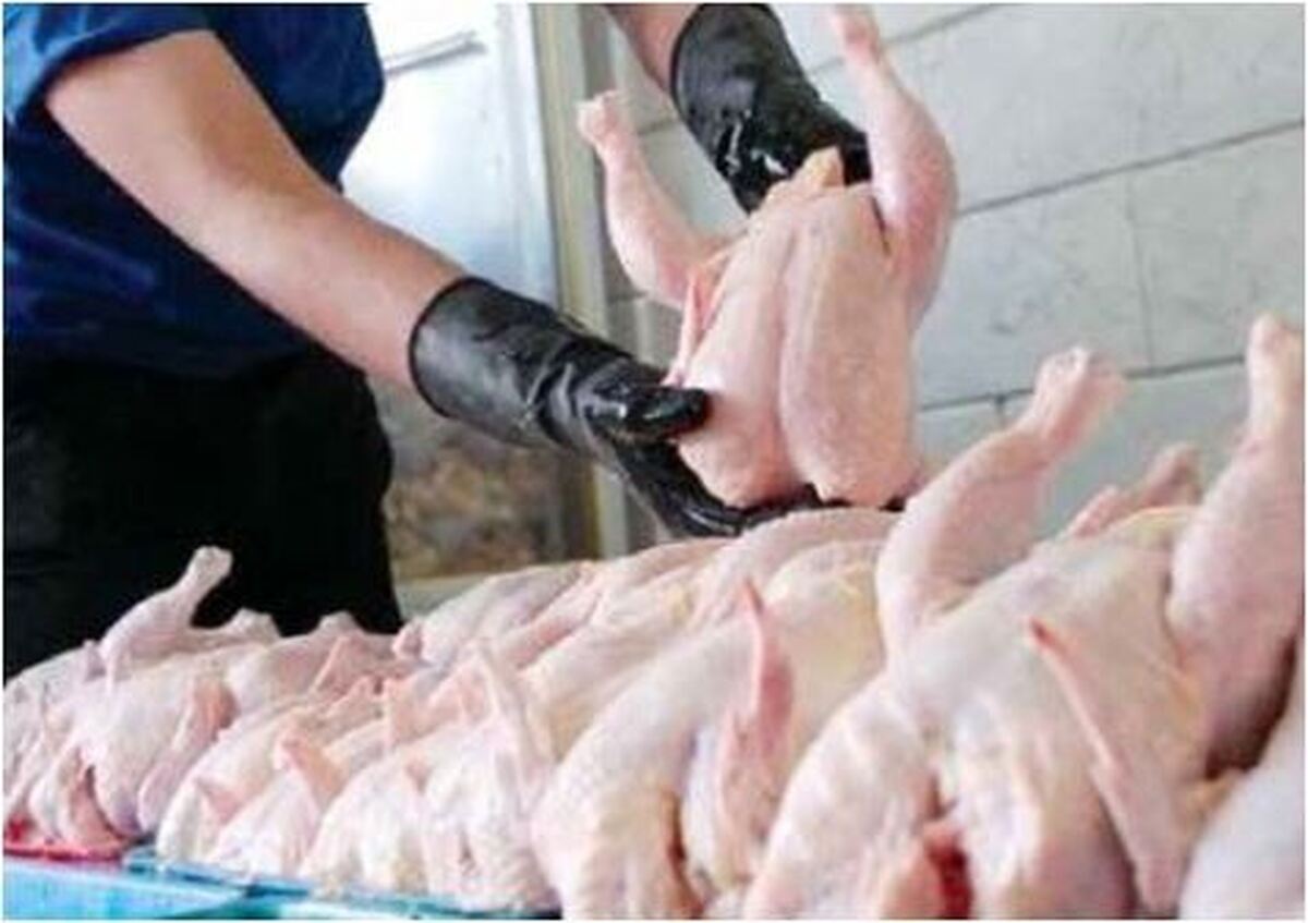 مرغ گرم در میادین میوه و تره‌بار چقدر قیمت خورد؟