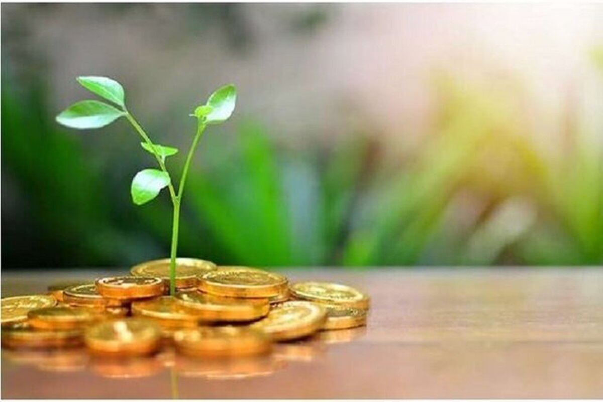 صدور مجوز‌های بی‌نام، کلید تسهیل سرمایه‌گذاری در خراسان شمالی