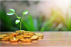 صدور مجوز‌های بی‌نام، کلید تسهیل سرمایه‌گذاری در خراسان شمالی