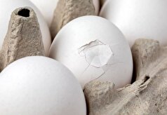 تخم‌مرغ‌های ترک خورده را بخوریم یا نه؟