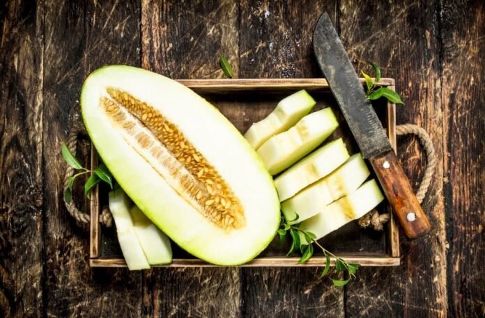 همه چیز درباره انواع خربزه و طبع آن