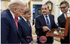 سنگ قیمتی که پاکستان پیش کش ترامپ کرد