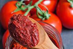 راهکار طلایی برای جلوگیری از کپک زدن رب گوجه فرنگی خانگی