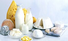 زنان باردار میتوانند لبنیات فله‌ای مصرف کنند؟