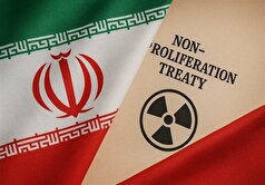 سخنگوی کمیسیون امنیت: ۱۵ طرح برای خروج از NPT ارائه شده است