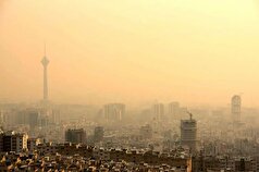 ذرات آلاینده قابل تنفس چه بیماری‌هایی ایجاد میکنند؟
