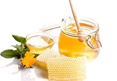 چگونه عسل را برای لاغری مصرف کنیم؟